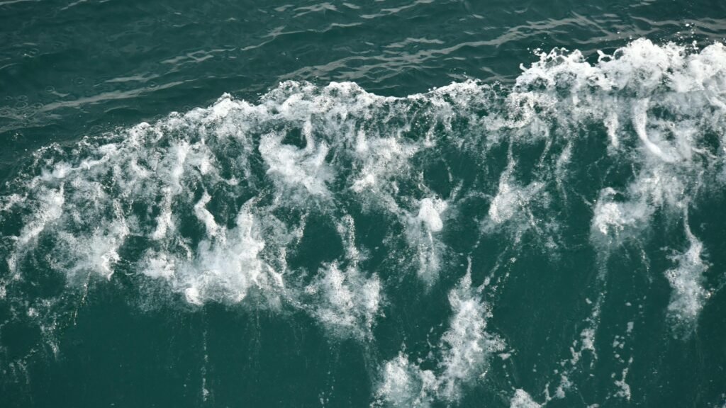 Transforming Static Content into Dynamic Motion Graphics