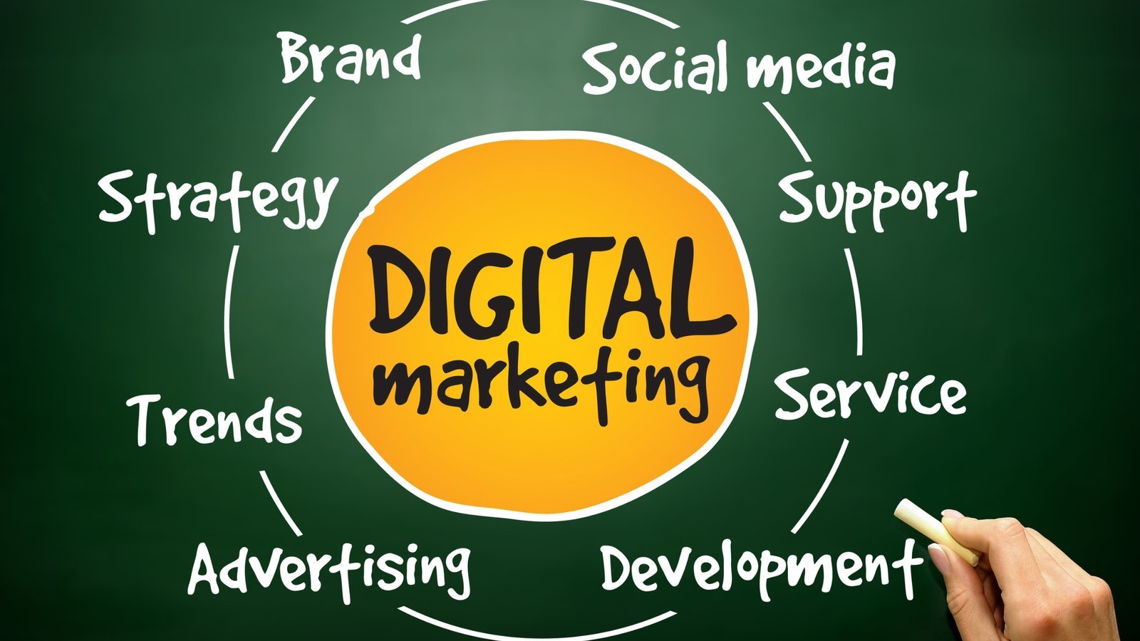 Digital Marketing Agency vs Freelancer